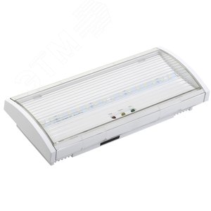 Светильник аварийный ДПА 5040-1 постоянный 1ч IP54