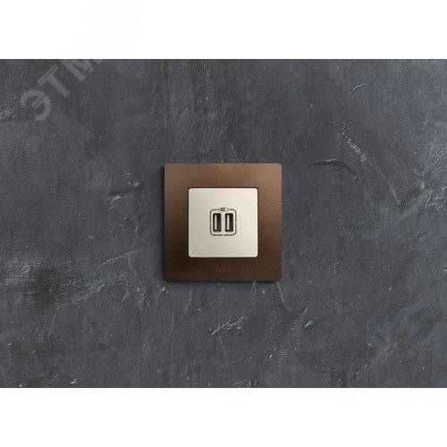 ETIKA Зарядное устройство с двумя USBразьемами 240В/5В 2400мА слоновая кость (672394) 3