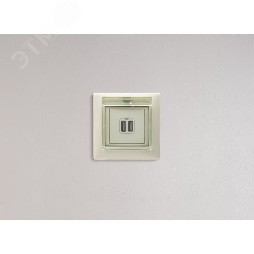 Розетка USB A+A 15Вт слоновая кость VALENA - фото 7