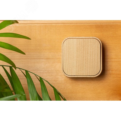 Выключатель 1-клавишный для открытой установки проходной 10А дерево QUTEO 4