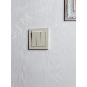 BRITE Выключатель трехклавишный 10А ВС10-3-0-БрКр бежевый - фото 7