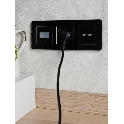 BRITE Розетка с заземлением с защитными шторками 16А с USB A+C 18Вт РЮш11-1-БрЧ черный - фото 8