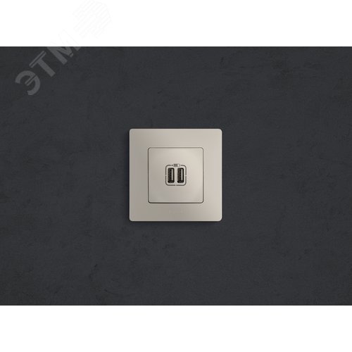 ETIKA Зарядное устройство с двумя USBразьемами 240В/5В 2400мА слоновая кость (672394) 4