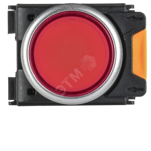 Кнопка d=22мм 1NO+1NC красная MASTER - фото 5