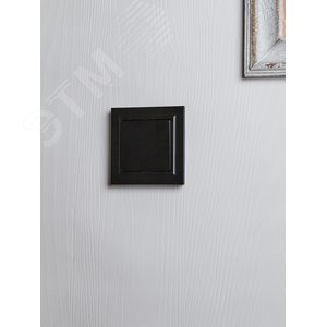 BRITE Выключатель одноклавишный 10А ВС10-1-0-БрЧ черный - фото 7