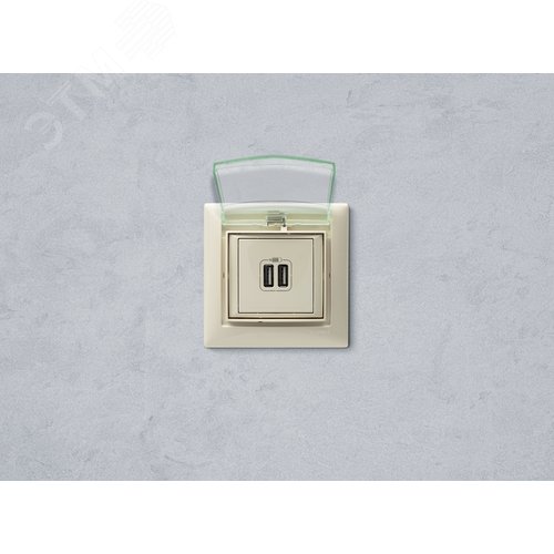 Розетка USB A+A 15Вт слоновая кость VALENA - фото 10