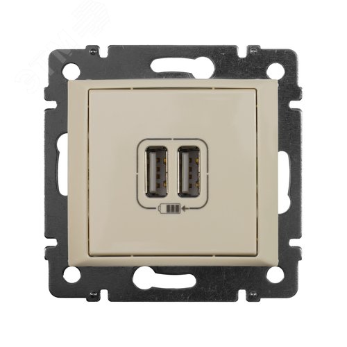 Розетка USB A+A 15Вт слоновая кость VALENA - фото 11