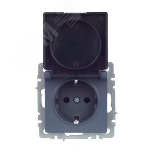 BRITE Розетка с заземлением с защитными шторками и крышкой 16А IP20 РСбш10-3-БрМ маренго - фото 9