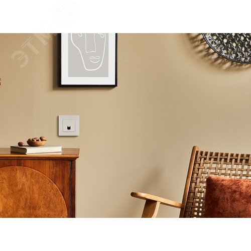 Розетка компьютерная RJ45 категория 5Е UTP слоновая кость ETIKA 4