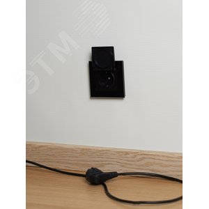 BRITE Розетка с заземлением с защитными шторками и крышкой 16А IP44 РСбш10-3-44-БрЧ черный - фото 4
