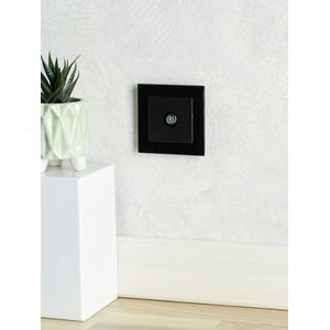 BRITE Розетка TV проходная РТВ10-0-БрЧ черный - фото 8
