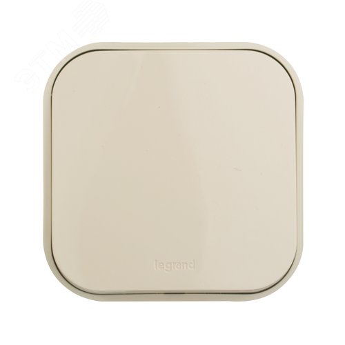 Выключатель 1-клавишный для открытой установки самовозвартный 6А безвинтовое крепление слоновая кость QUTEO 2