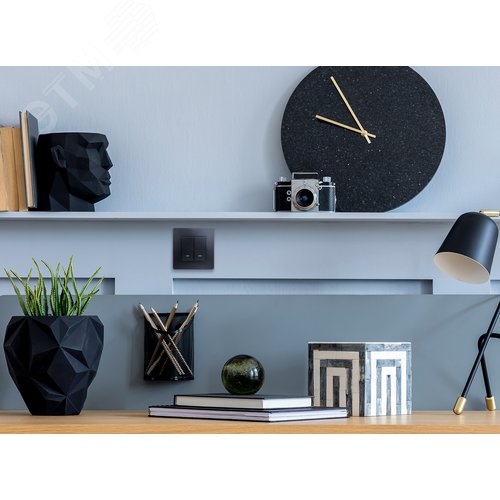 Выключатель 2-клавишный с подсветкой/индикацией 10А безвинтовое крепление антрацит ETIKA 4