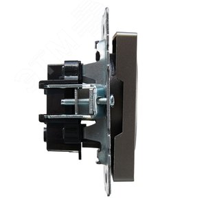 BRITE Розетка без заземления без защитных шторок 10А РС10-1-0-БрС сталь - фото 3