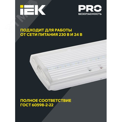 Светильник аварийный ДПА 5032-3 постоянного действия 10-24/220 В 3 ч IP20 LIGHTING 5