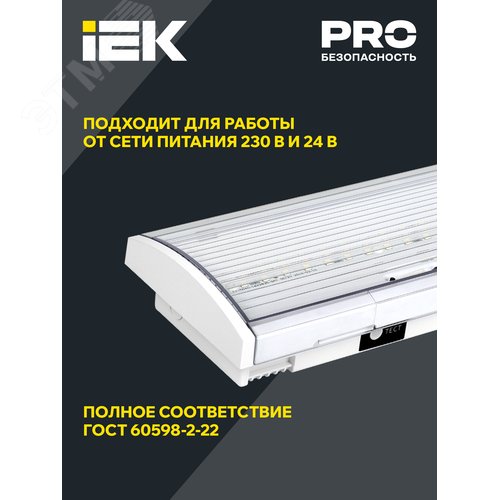 Светильник аварийный ДПА 5043-3 постоянного действия 10-24/220 В 3 ч IP54 LIGHTING 5