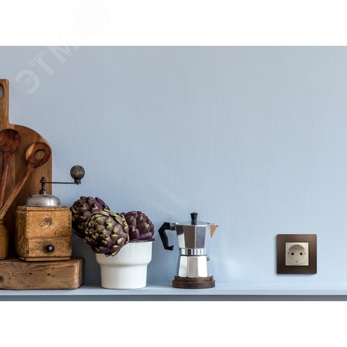 Розетка 1-местная с заземлением с защитными шторками 16А слоновая кость ETIKA 6