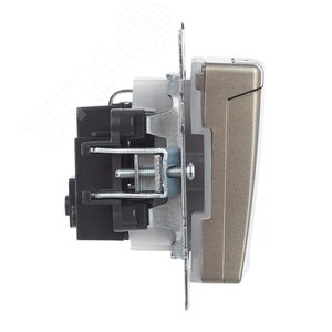 BRITE Розетка с заземлением с защитными шторками и крышкой 16А IP44 РСбш10-3-44-БрШ шампань - фото 6