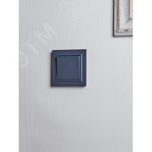 BRITE Выключатель одноклавишный самовозвратный 10А ВС10-1-4-БрМ маренго - фото 7