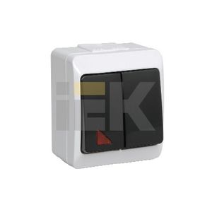 ГЕРМЕС Выкл-ль 2-кл нар. с индик черн. IP44 (ВС20-2-1-ГЧ) - IEK (ИЭК)