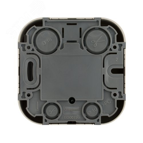 Розетка для открытой установки TV тип звезда слоновая кость QUTEO 3