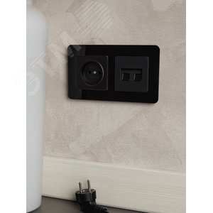 BRITE Розетка без заземления без защитных шторок 10А РС10-1-0-БрЧ черный - фото 7