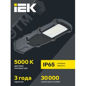 Светильник LED консольный уличный ДКУ 1002-30Д 5000К IP65 серый 2