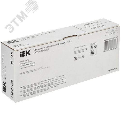 Светильник LED консольный уличный ДКУ 1002-100Д 5000К IP65 серый 7