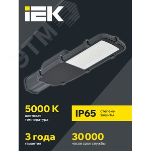 Светильник LED консольный уличный ДКУ 1002-100Д 5000К IP65 серый 2