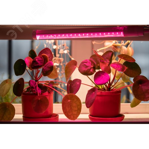 Светильник светодиодный для растений ДБЛ 02 8 Вт 573 мм LIGHTING - фото 5