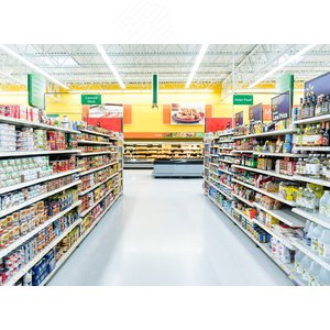 Светильник промышленный пылевлагозащищенный ДСП 1313 48Вт 6500К IP65 белый пластик 6