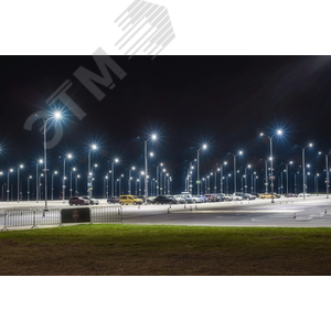 Светильник LED консольный уличный ДКУ 1002-150Д 5000К IP65 серый 8