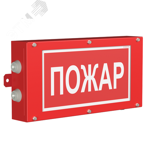 Световой указатель BS-CANRON-71-S1-INEXI2 - Белый свет