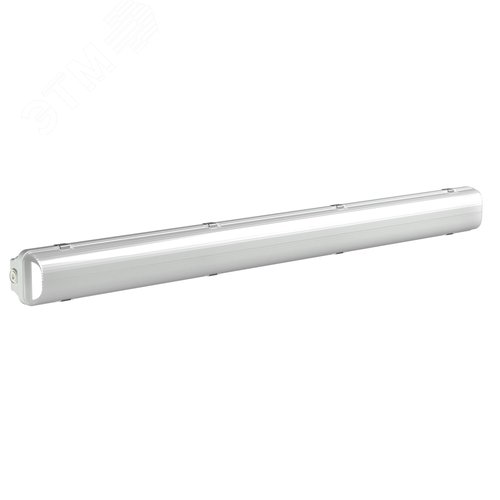 Светильник аварийный BS-DECTON-53-L1-STABILAR2 SMC V03 4000K - Белый свет