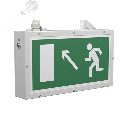 Световой указатель BS-FLAGMAN-81-S1-INEXI3-FELS - Белый свет