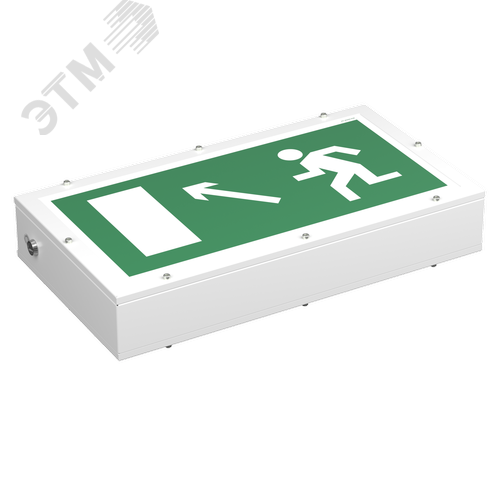 Световой указатель BS-FLAGMAN-81-S1-INEXI3-FELS - фото 2