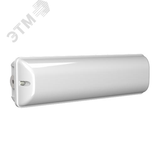 Аварийный светильник BS-METEOR-893-10x0,3 LED 2