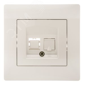 GUSI Bravo Розетка  компьютерная RJ45, одинарная, скрытая установка,  с  одноместной  рамкой С1010-001.  Цвет бежевый. - GUSI Electric