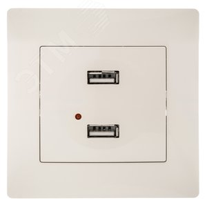 GUSI Bravo Розетка USB,  двойная,  скрытая  установка, с  одноместной  рамкой С1010-001. Цвет  бежевый. (С10USB2-003-СБ) - GUSI Electric