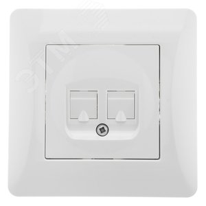 GUSI Ugra Розетка  компьютерная RJ45, двойная, скрытая установка,    с  одноместной  рамкой С1110-00 - GUSI Electric