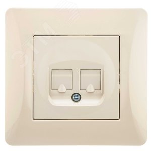 GUSI Ugra Розетка  компьютерная RJ45, двойная, скрытая установка,    с  одноместной  рамкой С1110-001.  Цвет бежевый. (С11К2-003-СБ) - GUSI Electric