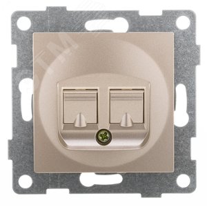 Розетка компьютерная и телефонная RJ45, RJ12 Ugra, механизм, шампань - GUSI Electric