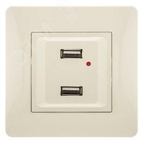 GUSI Ugra Розетка USB,  двойная,  скрытая  установка, с  одноместной  рамкой С1110-001. Цвет  бежевый. - GUSI Electric