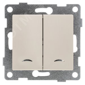 Выключатель двухклавишный Ugra инд, маханизм, 10А, 250В, бежевый - GUSI Electric