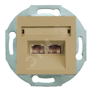 City МЕХАНИЗМ Роз. Комп., 2-ой (RJ45, CAT 5), СП, Золото