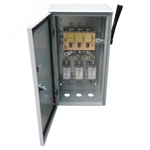 Ящик силовой ЯРВ-100-54 УХЛ2, с ПН-2 100А, IP54 - Электротехник