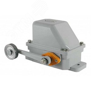 КУ-701 У2, рычаг с роликом, 10А, IP44, 2 эл. цепи (ЭТ) (ET008995) - Электротехник