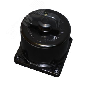 Выключатель пакетный ВП3-16 до 16А карболитовый корпус IP30 (ET003190)