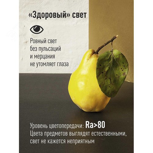 Лампа светодиодная LED 8Вт R50 220В Е14 6500К холодный 650 лм - фото 4