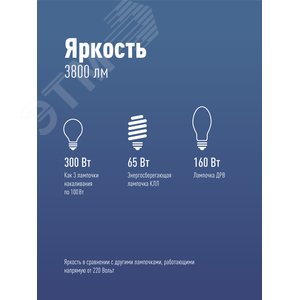 Лампа светодиодная LED 40Вт 220В Е27 D100х168 6500К дневной 3800 лм - фото 4